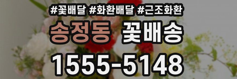 송정동 꽃배송