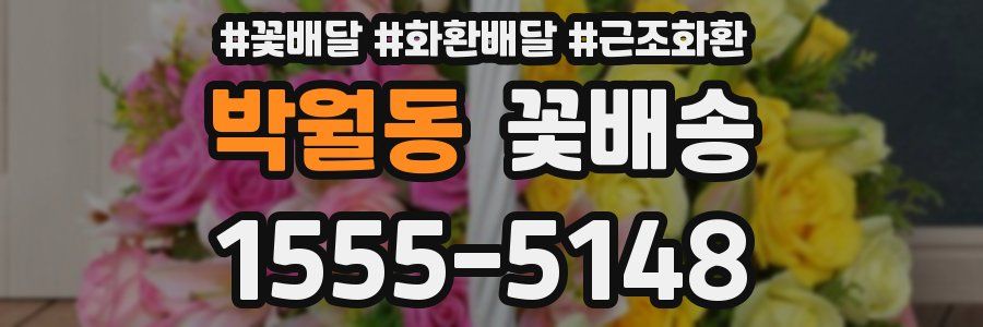 박월동 꽃배송