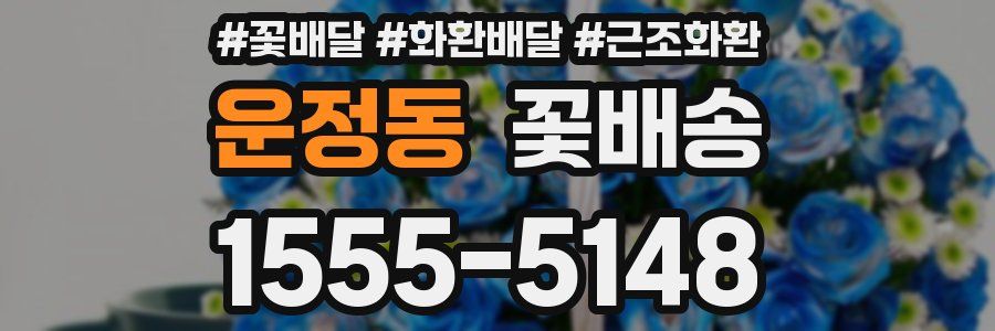 운정동 꽃배송