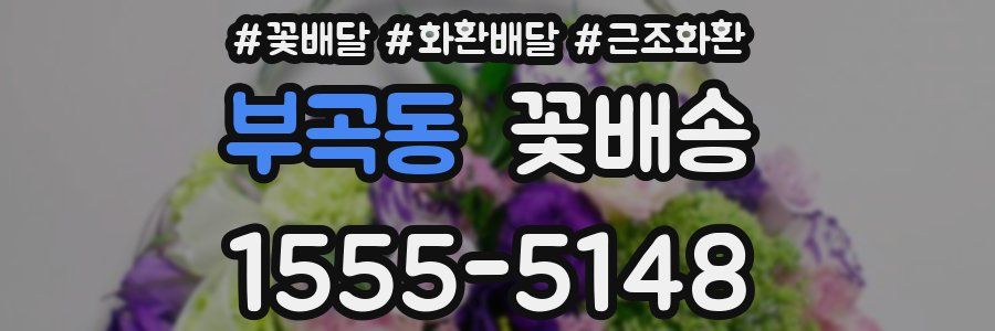 부곡동 꽃배송