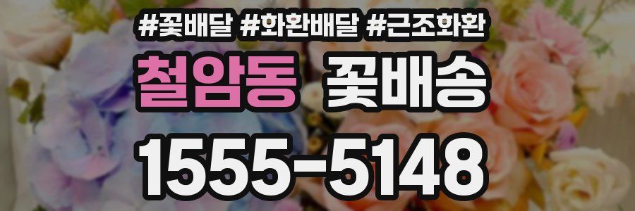 철암동 꽃배송