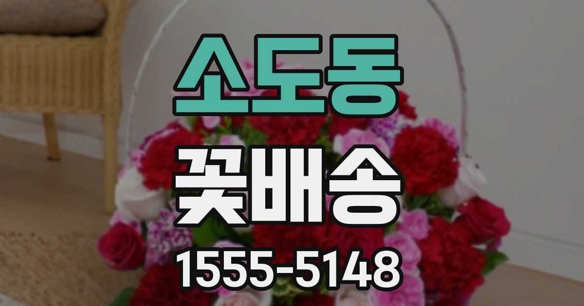 소도동 꽃배송