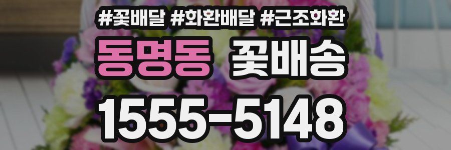 동명동 꽃배송