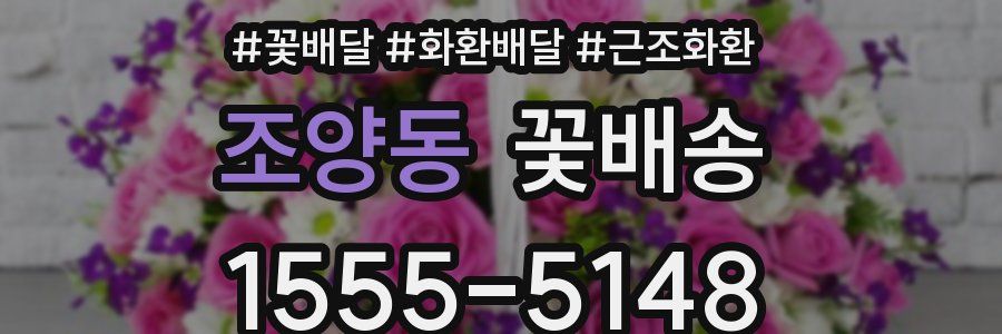 조양동 꽃배송