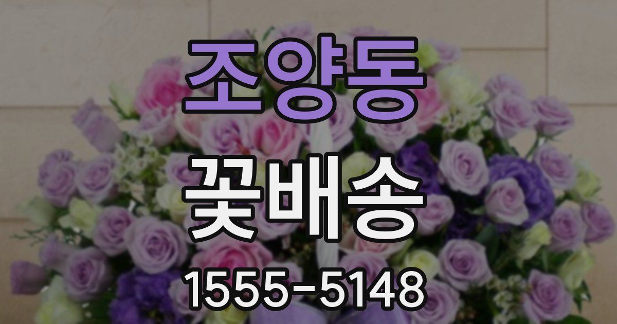 조양동 꽃배송
