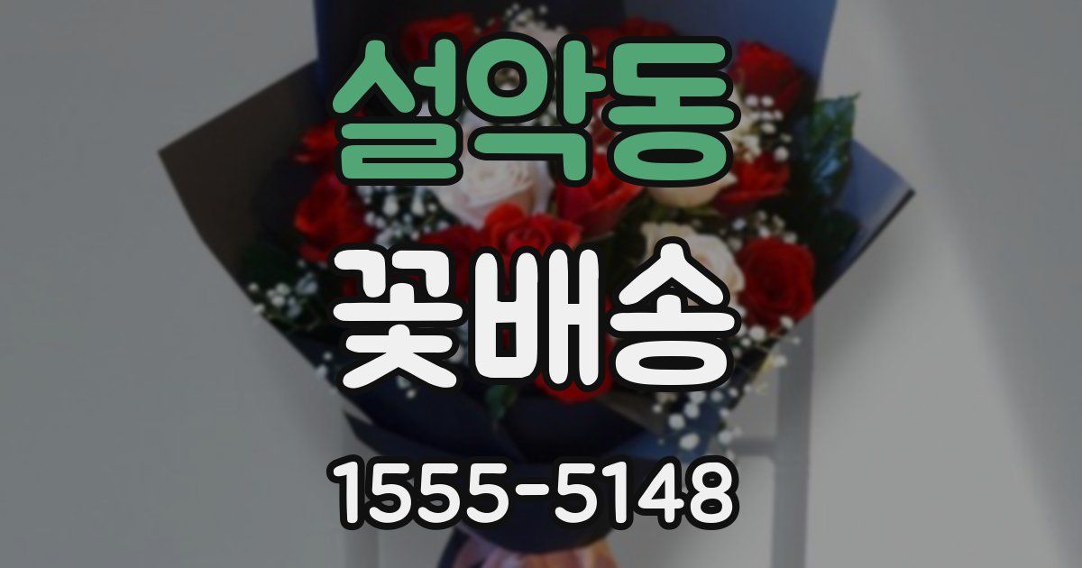 설악동 꽃배송