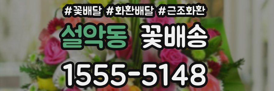 설악동 꽃배송