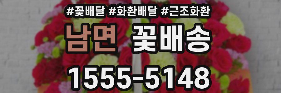 남면 꽃배송