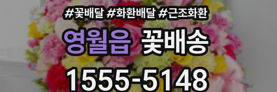 영월읍 꽃배송