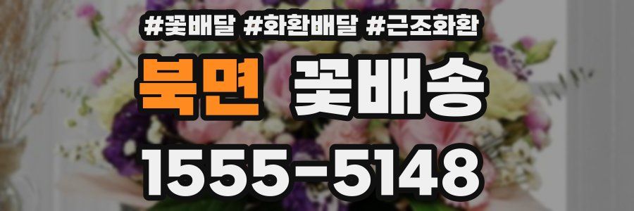 북면 꽃배송