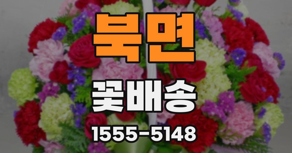 북면 꽃배송