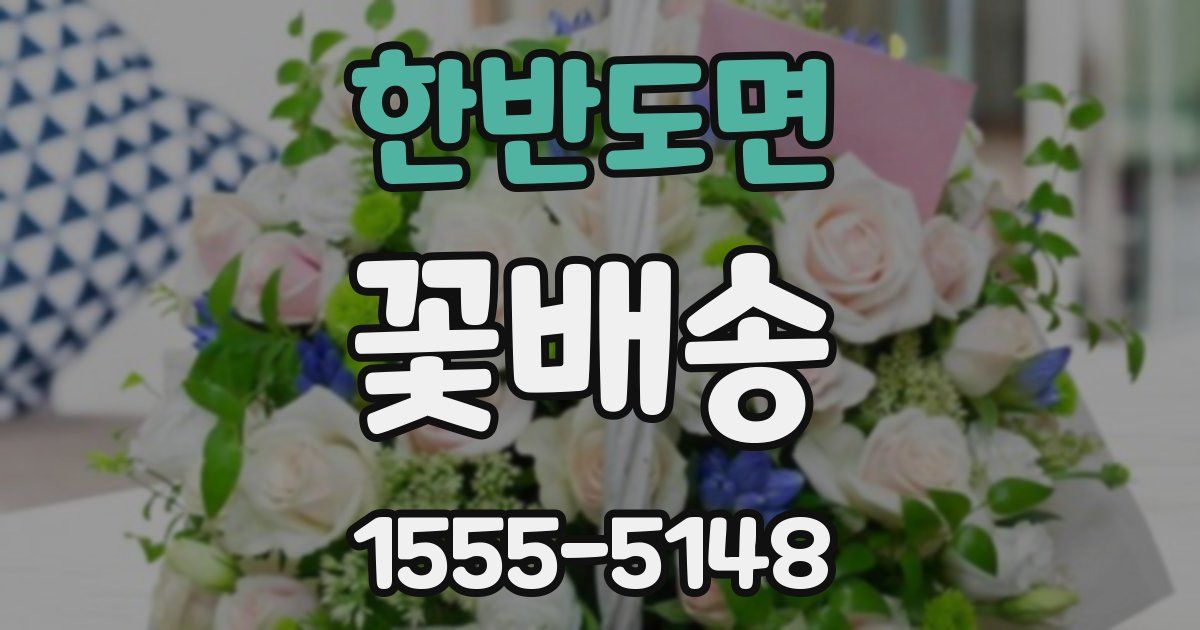 한반도면 꽃배송