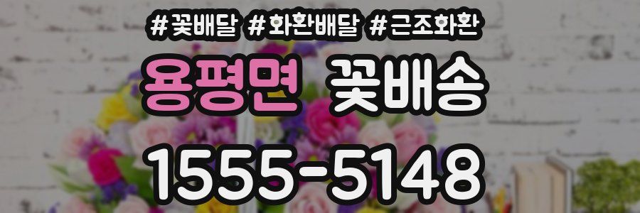 용평면 꽃배송