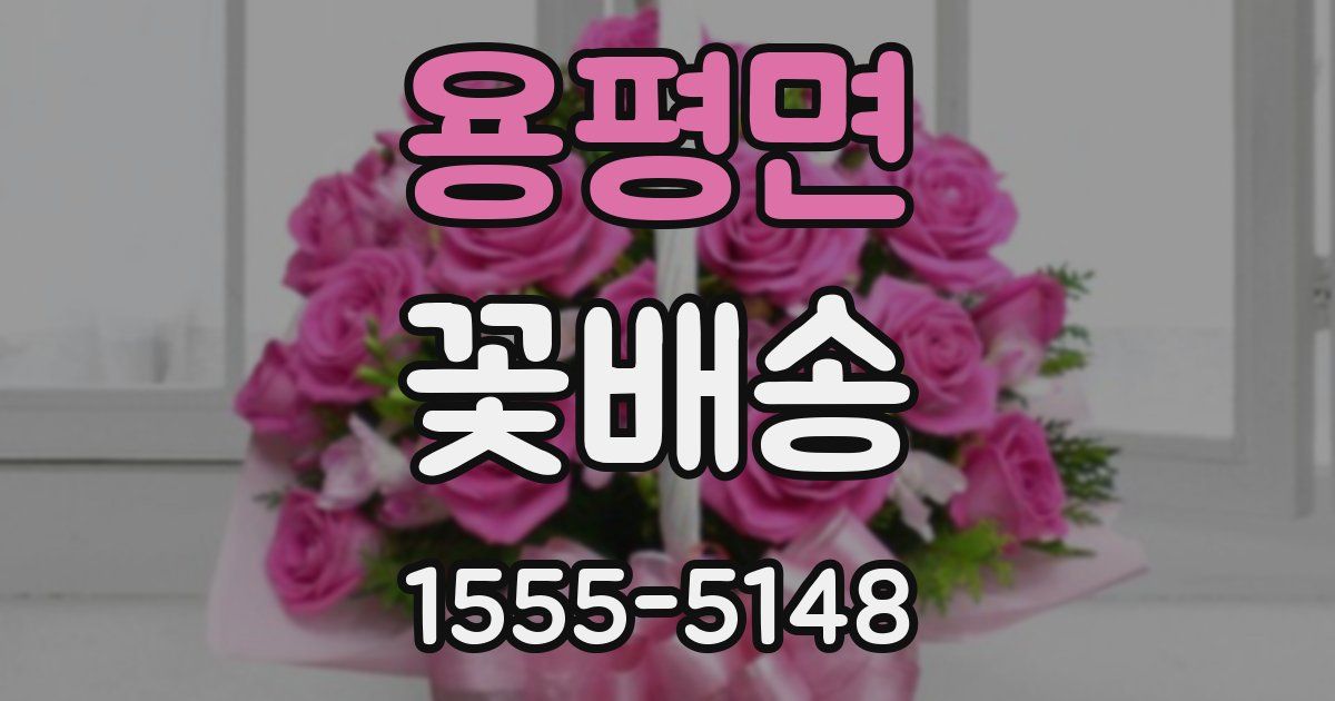 용평면 꽃배송