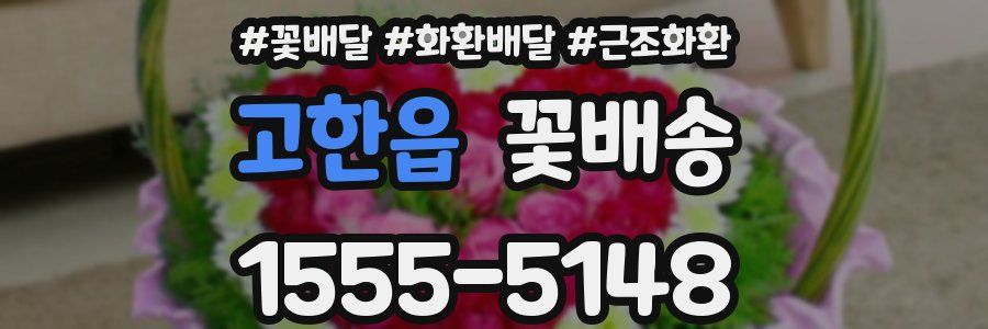 고한읍 꽃배송