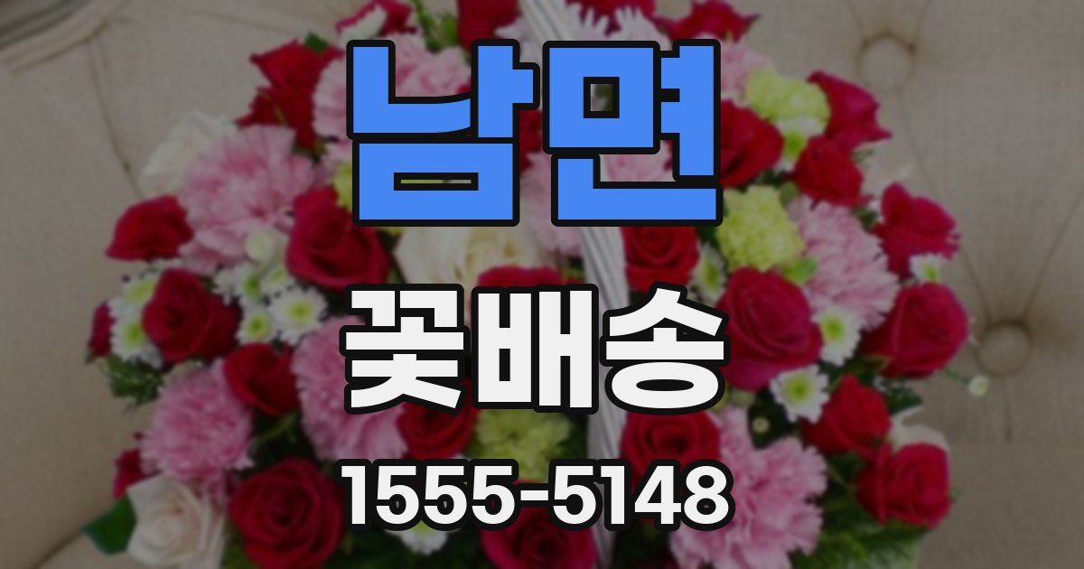 남면 꽃배송