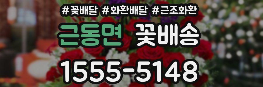 근동면 꽃배송