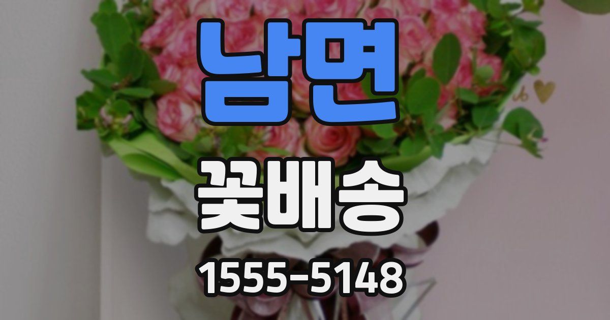 남면 꽃배송