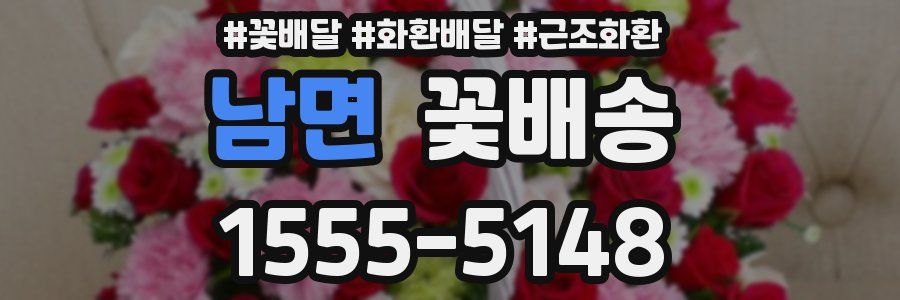 남면 꽃배송