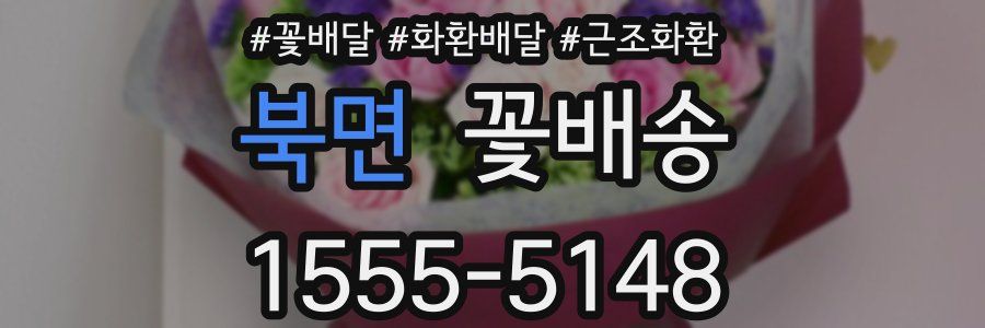 북면 꽃배송