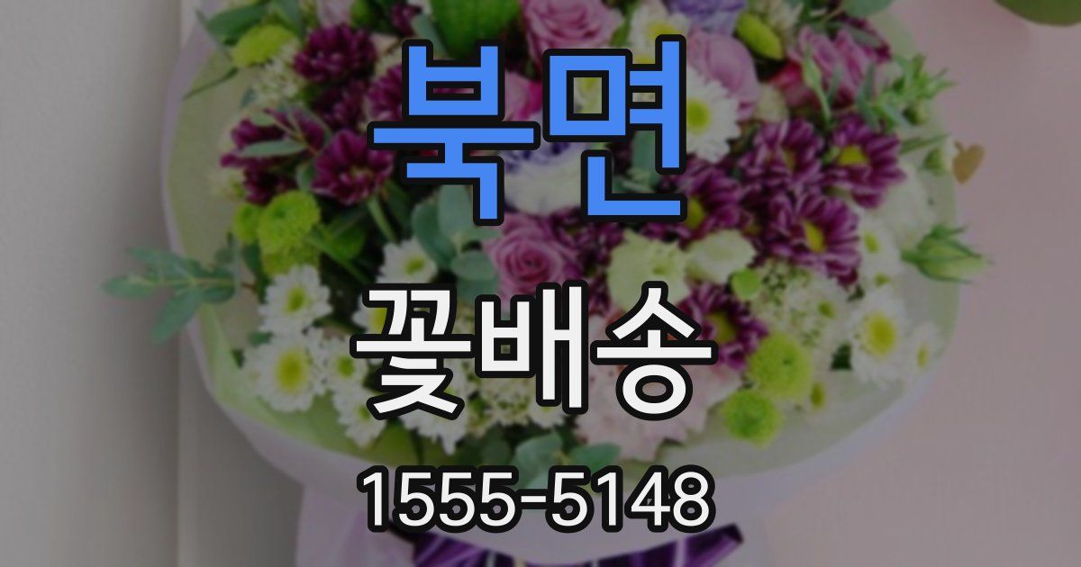 북면 꽃배송