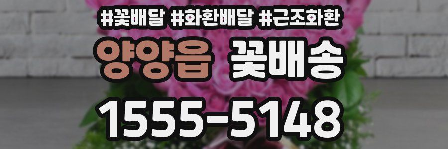 양양읍 꽃배송