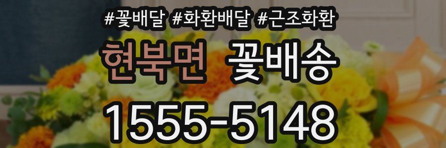 현북면 꽃배송