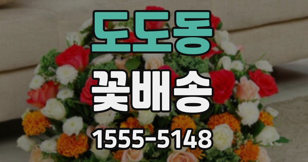 도도동 꽃배송