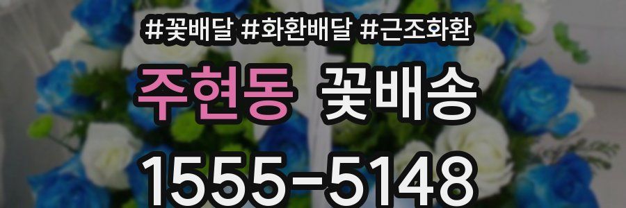 주현동 꽃배송