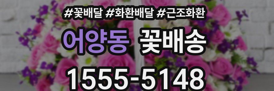 어양동 꽃배송