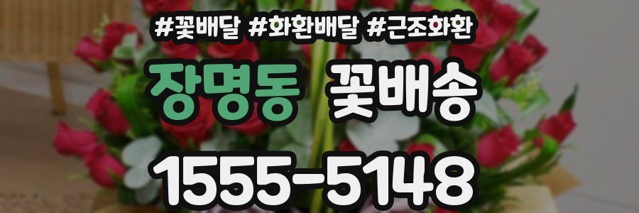 장명동 꽃배송