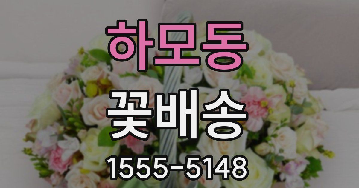 하모동 꽃배송