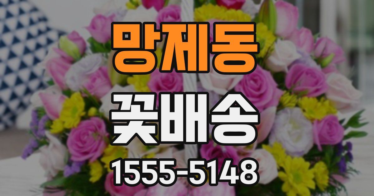 망제동 꽃배송