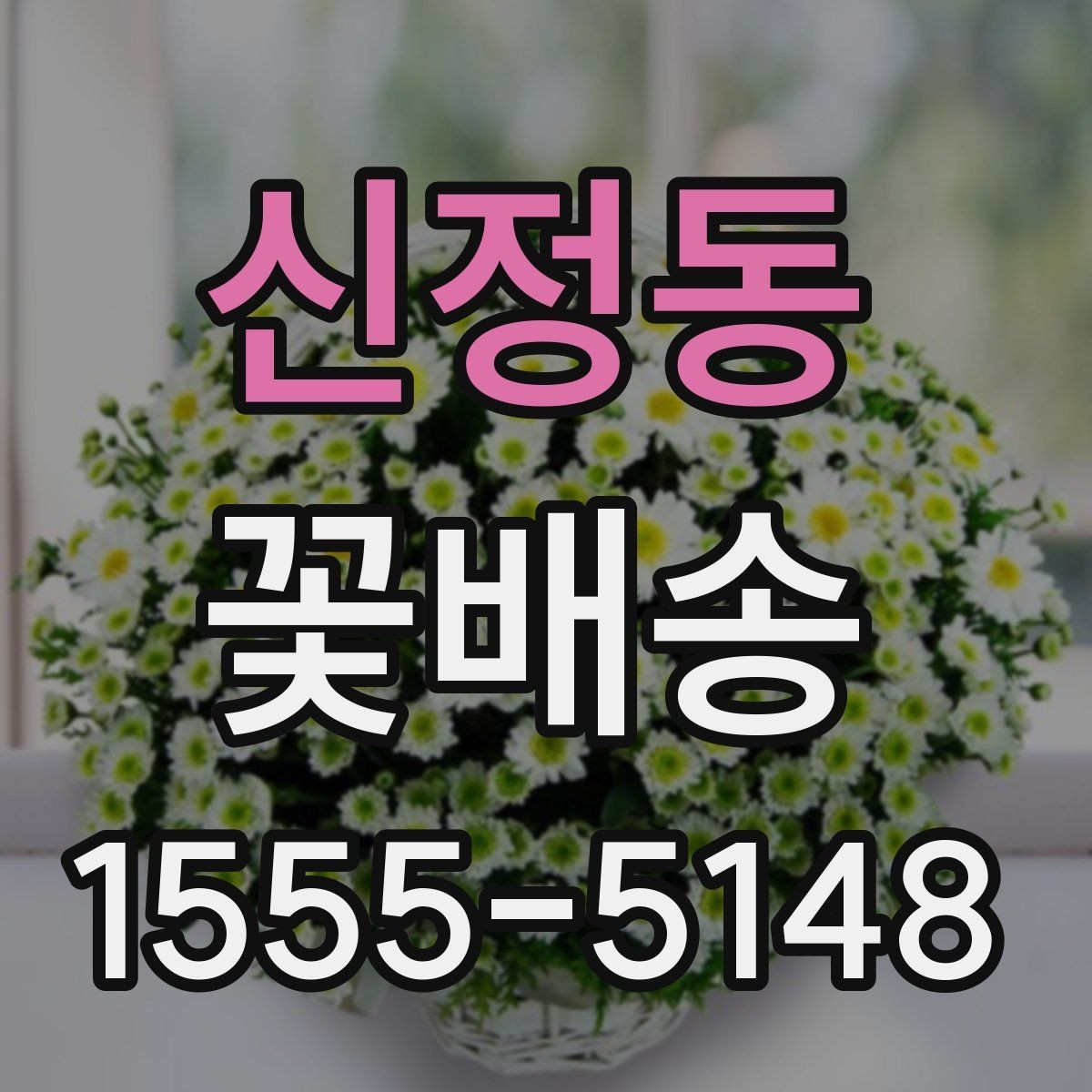신정동 꽃배송 꽃다발과 바구니 비교