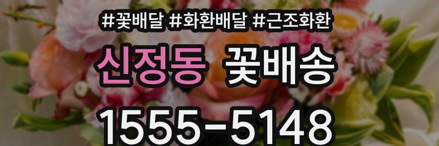 신정동 꽃배송