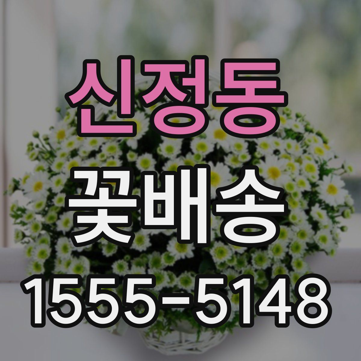 신정동 꽃배송