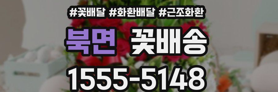 북면 꽃배송