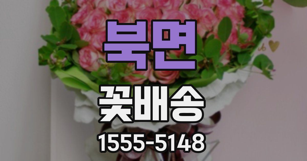 북면 꽃배송