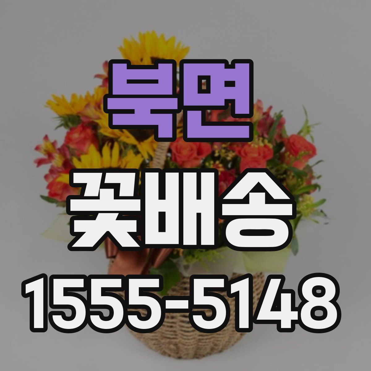 북면 꽃배송