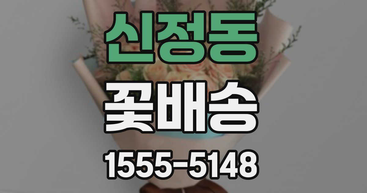 신정동 꽃배송