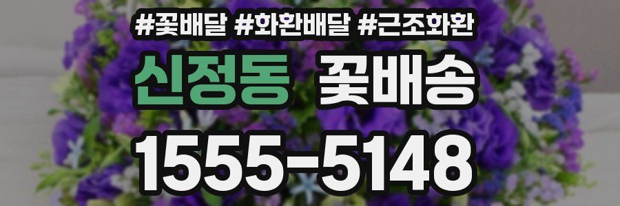 신정동 꽃배송