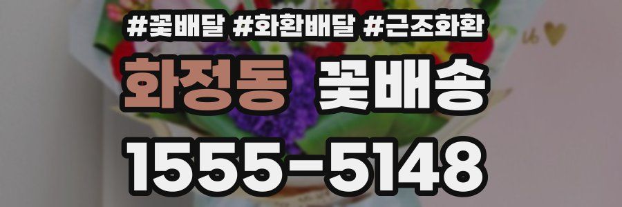 화정동 꽃배송