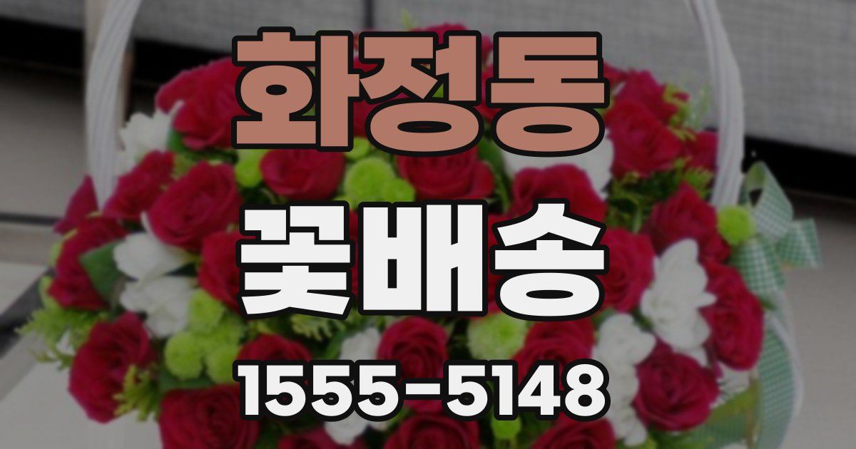 화정동 꽃배송