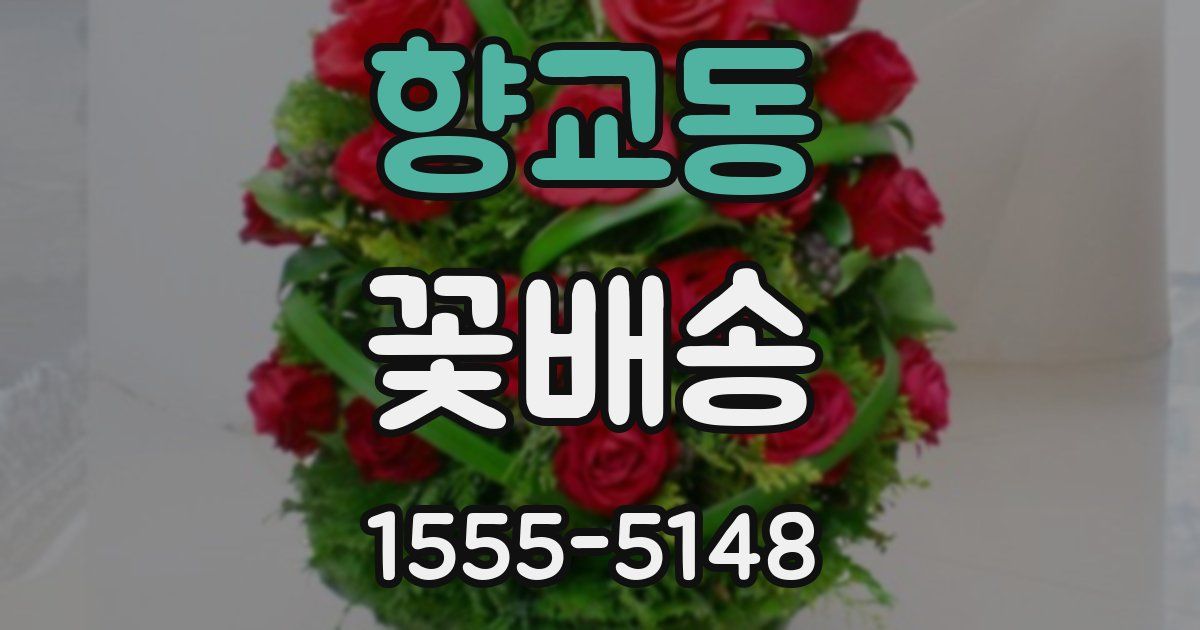 향교동 꽃배송