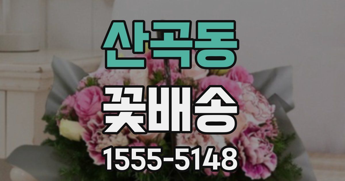 산곡동 꽃배송