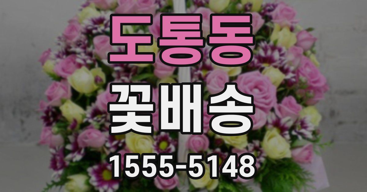 도통동 꽃배송