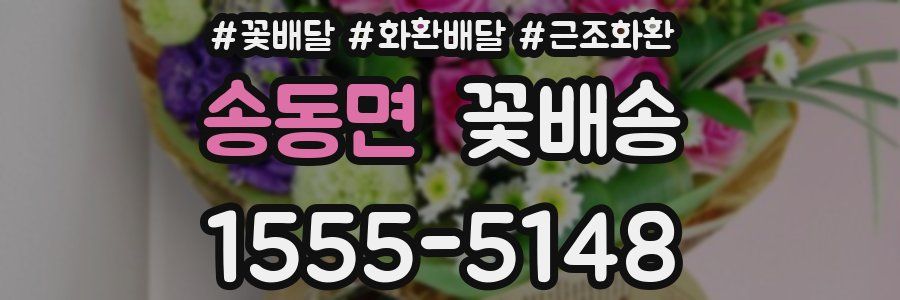 송동면 꽃배송