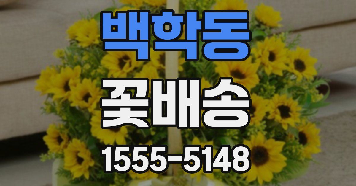 백학동 꽃배송