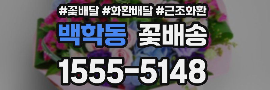 백학동 꽃배송