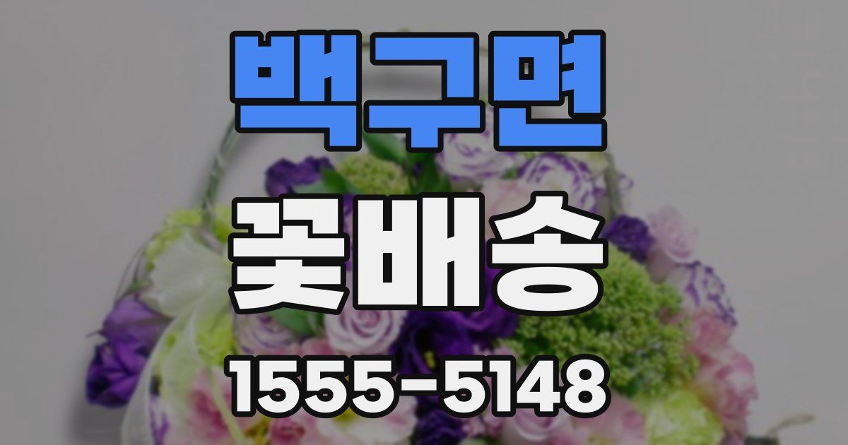 백구면 꽃배송
